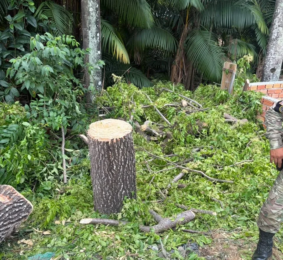 Guarda Municipal detém dois por desmatamento em APP na zona Norte