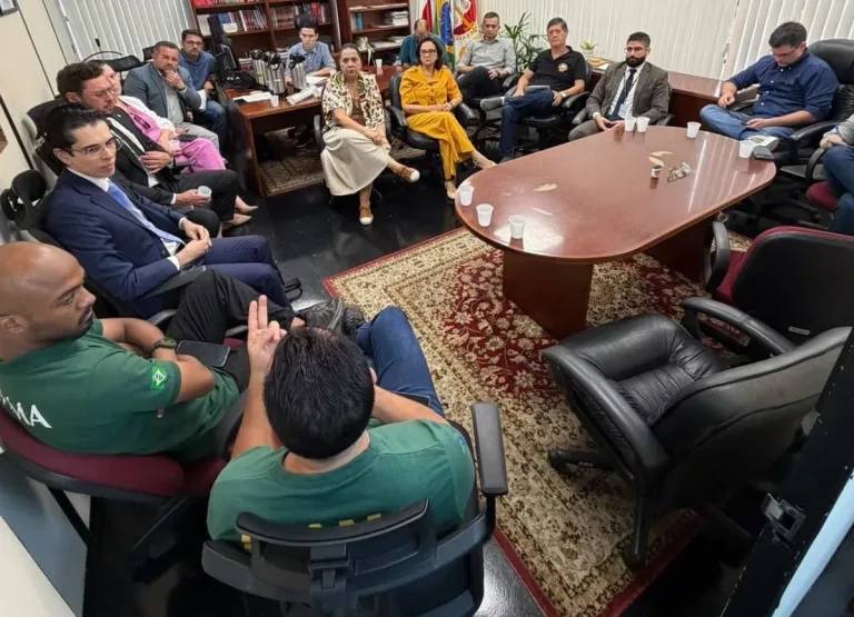 MPAM e órgãos federais articulam investigação de queimadas no Amazonas
